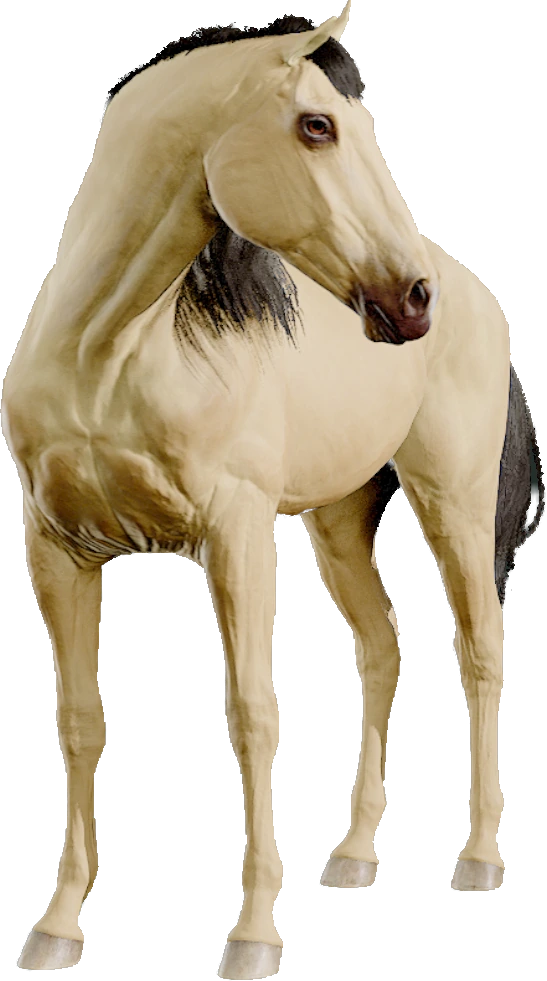 Dutch Warmblood, Equinox: Homecoming