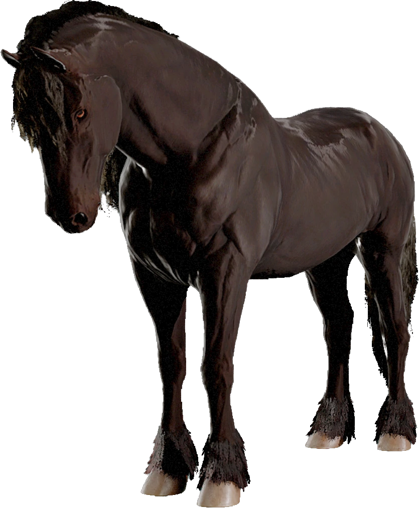 Friesian, Equinox: Homecoming